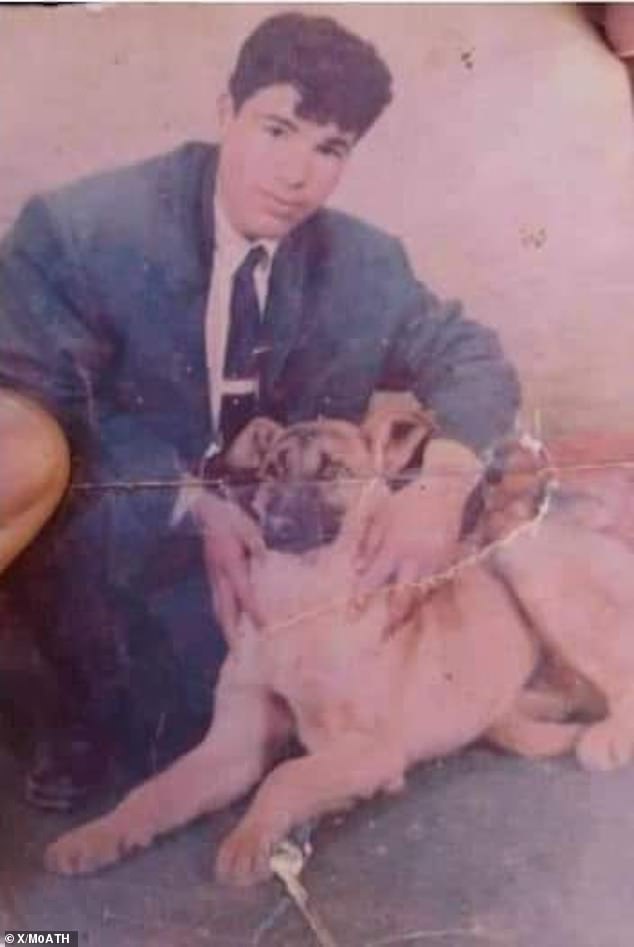 His family is believed to have believed him dead, killed in the Algerian civil war that broke out more than 20 years ago. Relatives claim that the dog was poisoned after he began to smell Omar's scent nearby.