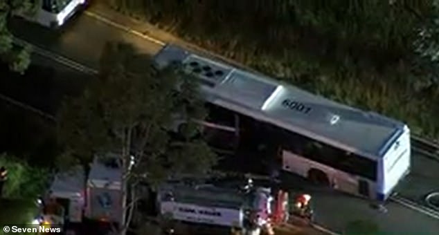 The vehicles crashed on the Liverpool-Parramatta carriageway at Wetherill Park, in Sydney's west, about 5pm on Friday.