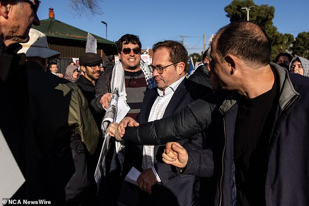 People attending the ALP conference are pushed and shoved as they walk during a pro-Palestine demonstration outside Mooney Valley racecourse.