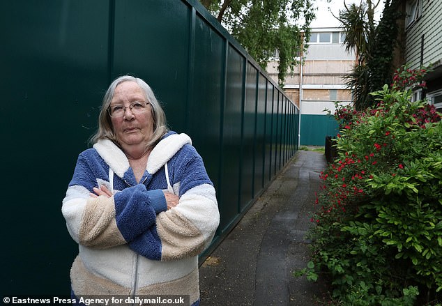 Jenny Groves, 74 (pictured), says she faces constant noise and disruption due to construction work.