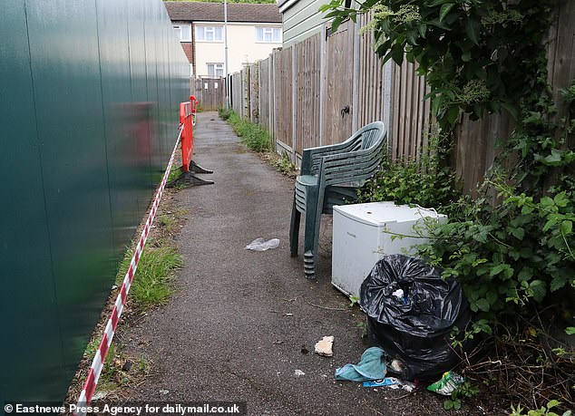 Pictured: Trash dumped in an alley next to the development.