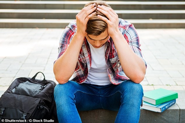 The Queensland Civil and Administrative Tribunal heard the teacher exchanged more than 1,200 emails with her student over a six-week period (file image)