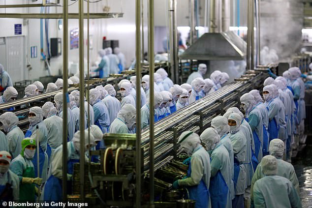 Inside a Thai Union factory. The company is the majority owner and main supplier of Red Lobster.