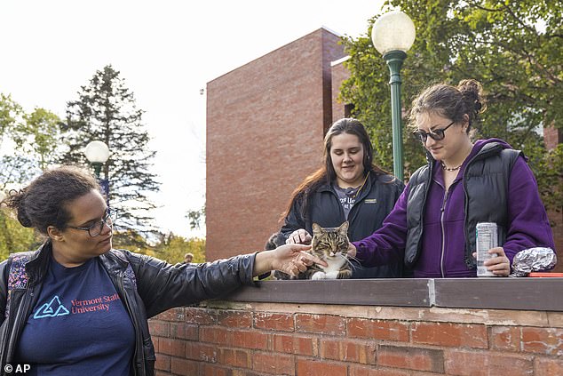 Max owner Ashley Dow said students are always excited to see Max on campus. They'll take selfies with him, pet him while he purrs, and even join campus tours with prospective students when they're in the building across from the family's home.