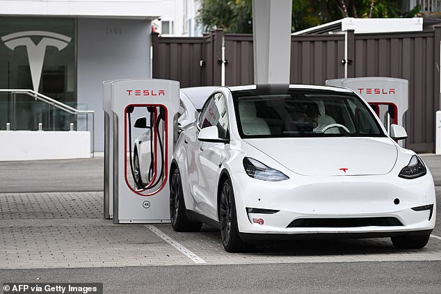 One expert explained why drivers are hesitant to use electric vehicles, in addition to high prices, saying people fear the car's battery will die and leave them stranded without access to a charging station.