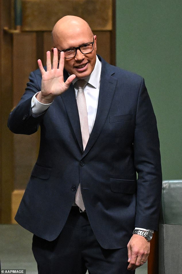 The opposition tried to condemn debt in Labour's budget forecasts, but the last coalition government produced nothing but deficits (pictured is Peter Dutton)