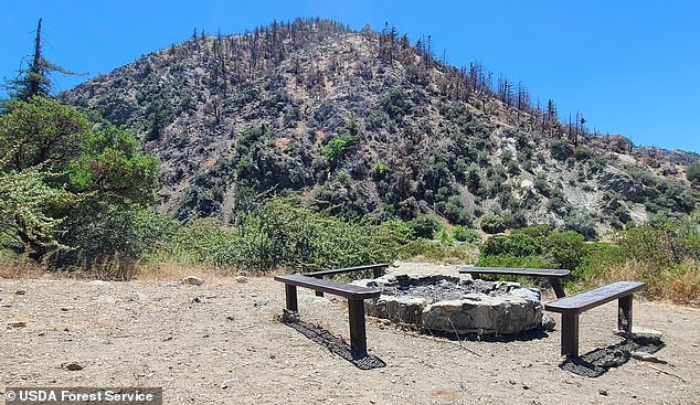 The repeated attacks took place in a remote area near Angeles National Forest, California.