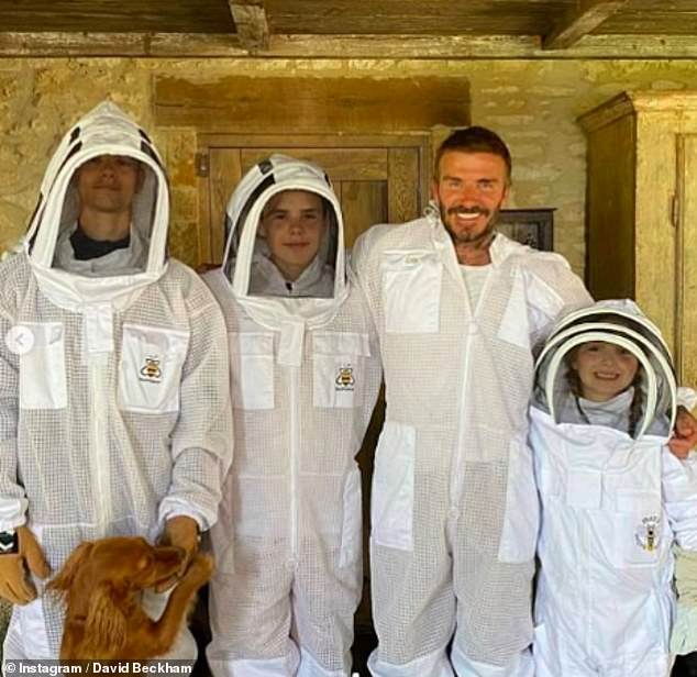 David started making his own honey during lockdown (pictured with his children Romeo, Cruz and Harper in protective suits in June)