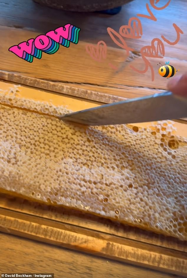 David began making his own honey during lockdown in 2020, with reports that he was set to turn his hobby into a business by releasing honey under the potential names 'D Bee, Seven Honey and Goldenbees'.