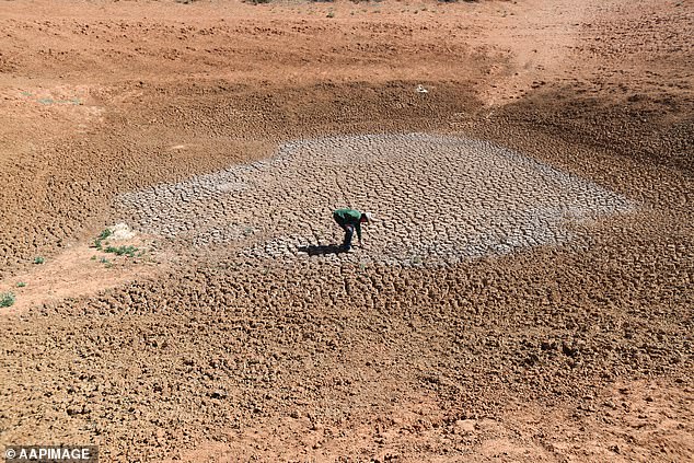 They say deadly heat will begin to emerge at certain times of the year, making it impossible for humans to be outdoors for more than six hours (file image)