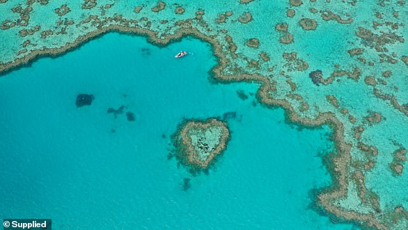 Hamilton Island is a major tourist location thanks to its proximity to the Great Barrier Reef.