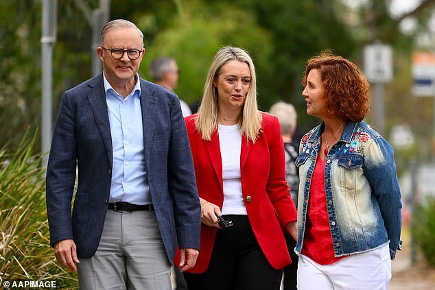 Smith has called on Prime Minister Anthony Albanese (pictured) to reconsider his opposition to nuclear power.