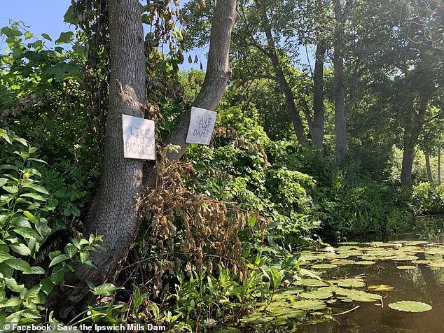 Now, the people of Ipswich will vote again. Some, who live next to Mill Pond, or have spent a lot of time there during the warmer months, advocate 