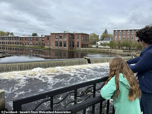 A girl looks at the Ipswich Dam, which city residents will vote to remove or maintain on May 21.