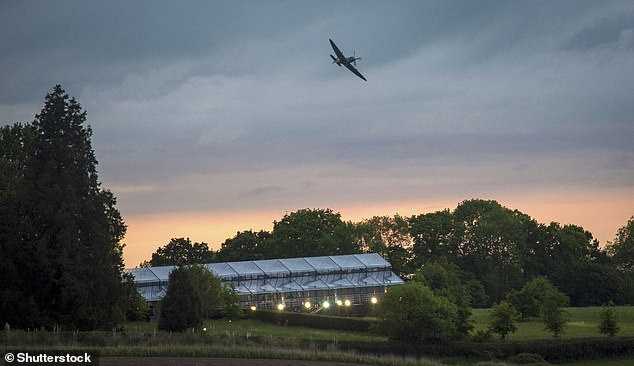 Guests were able to enjoy an aerial performance by a Spitfire fighter.