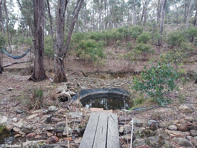 However, the couple were ordered to destroy a small pond Muller had created on the property because there was no safety barrier around it (pictured).