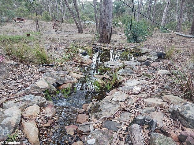 Muller has built a series of pools to allow a natural ecosystem to thrive on the property.