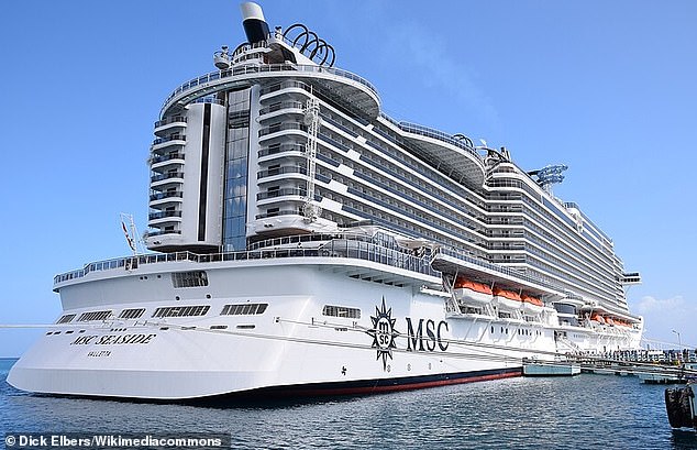 Hours after boarding the MSC Seaside, the three perpetrators are said to have lured the young passenger into their cabin before forcing her into the locked room.