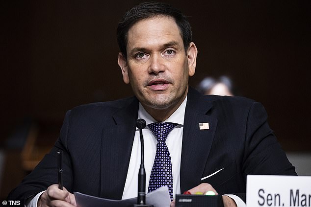 Senator Rubio during a hearing on border security and immigration at the Capitol in 2020