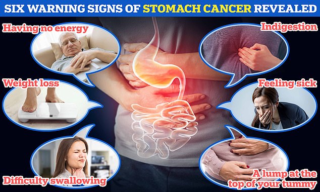 As shown above, lack of energy, unintentional weight loss, constant indigestion, difficulty swallowing, feeling unwell, and a lump in the upper abdomen are warning signs and symptoms of stomach cancer.