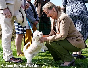 Sophie smiled as she petted the adorable dog.