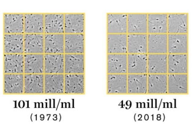 A 2022 report warned that declining sperm counts in men amount to a global crisis that 