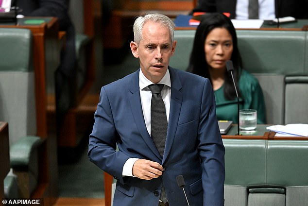 Immigration Minister Andrew Giles (pictured) accused opposition leader Peter Dutton of 