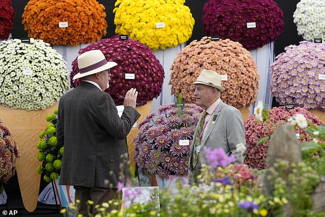 A judge speaks in front of a display of John Peace chrysanthemums at the Chelsea Flower Show in London.