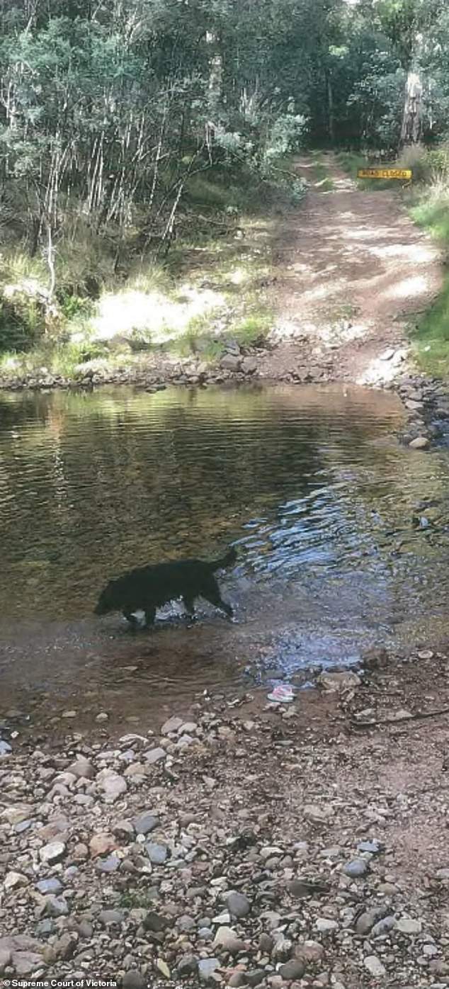 A camper heard Lynn try to cross this section of the river before having to make a U-turn because the road was closed. Police allege that at the time he had the campers' bodies in a trailer.