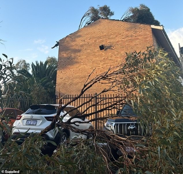 To make matters worse, the family had to abandon their home for good after it was destroyed by a cyclone.