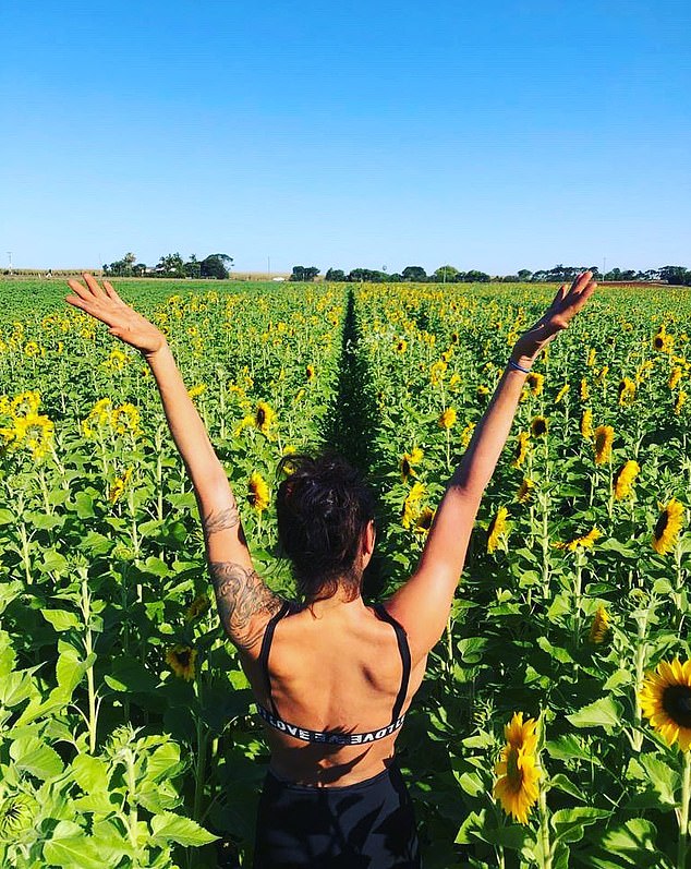 A little further out of town, halfway to Bundaberg, is Robertson Flower Farm, which comes to life when its field of sunflowers bloom between April and November.