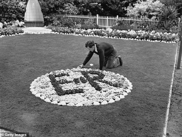 A gardener putting the finishing touches to a large ER II emblem in a garden by William Wood & Son in May 1953, just days before the coronation.