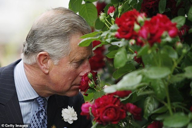 King Charles, then Prince of Wales, smells a Highgrove rose during the Chelsea Flower Show in 2009.