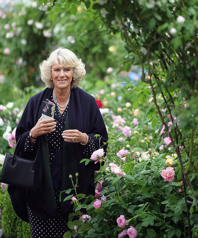 Queen Camilla attended the day before the annual Chelsea Flower Show in May 2006.