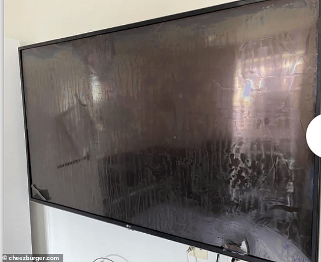 Bad viewing: A man claimed he had gone on holiday and returned to find his flatmates had left his TV in this state.