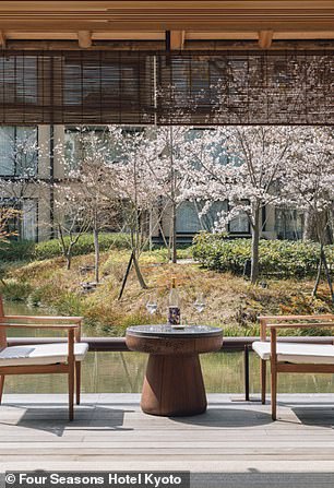 Seasonal cherry blossom seen from the tea house