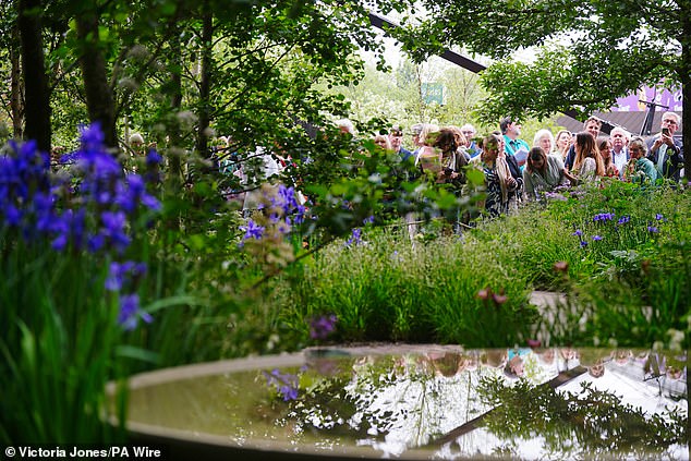 Guests view the RHS Chelsea Best in Show winner Forest Swimming Garden, designed by first-time competitor Ula Maria