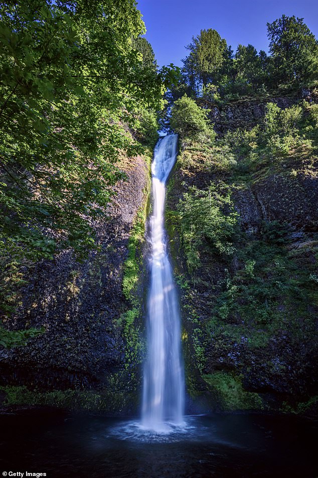 Pictured: Horsetail Falls 'Waterfall Corridor' in the Columbia River Gorge, Oregon