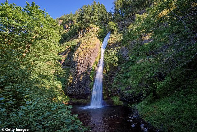 Search and rescue teams determined that Marcias fell 50 to 60 feet from a cliff west of the Horsetail Falls trailhead (pictured: the 'Waterfall Corridor').