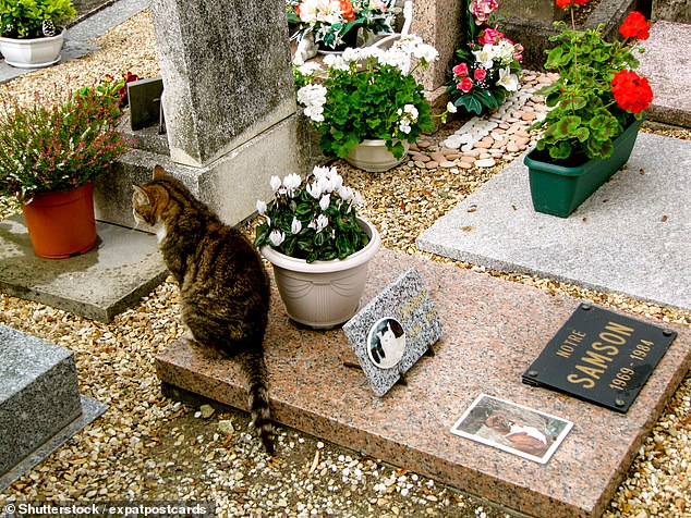 A cat sits on a monument at the Cimetiere des Chiens, a pet cemetery established in 1899 in Asnieres-sur-Seine, a suburb of Paris.