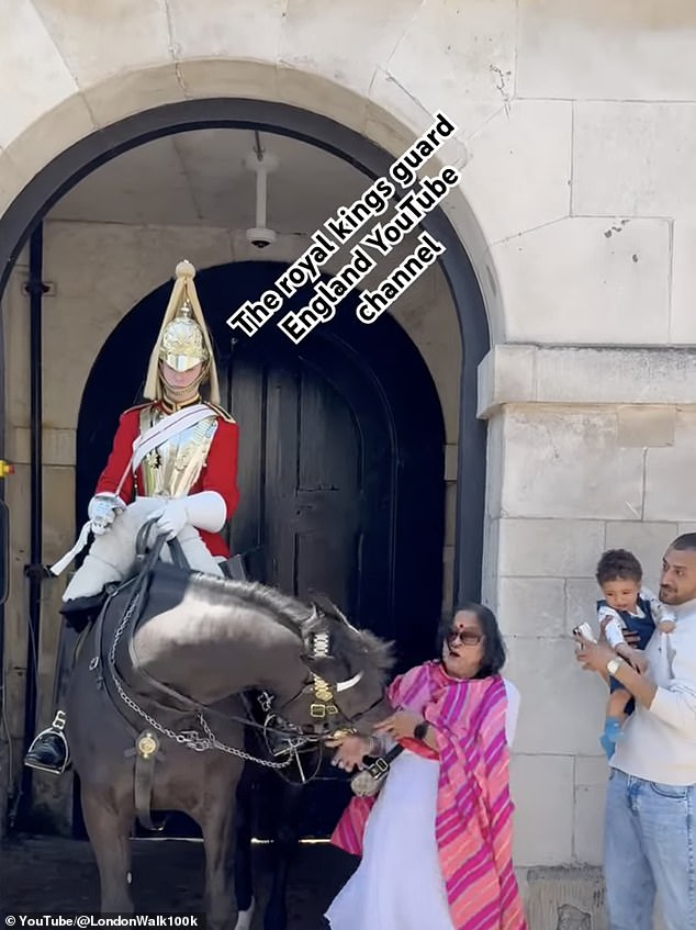 The horse turns its head before grabbing the woman's sari.