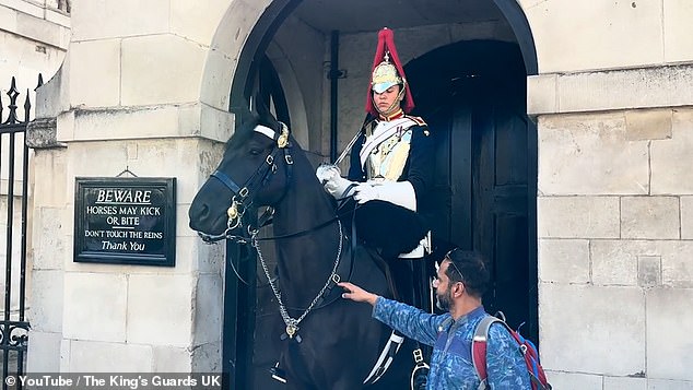 In another video, a man was seen touching the reins of one of the horses.