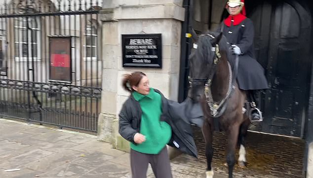 The tourist is seen trying to get away from the horse after it squeezed her jacket, but to no avail.