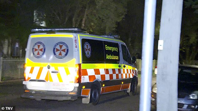 Paramedics (pictured) attended the scene, but the seriously injured man could not be saved.