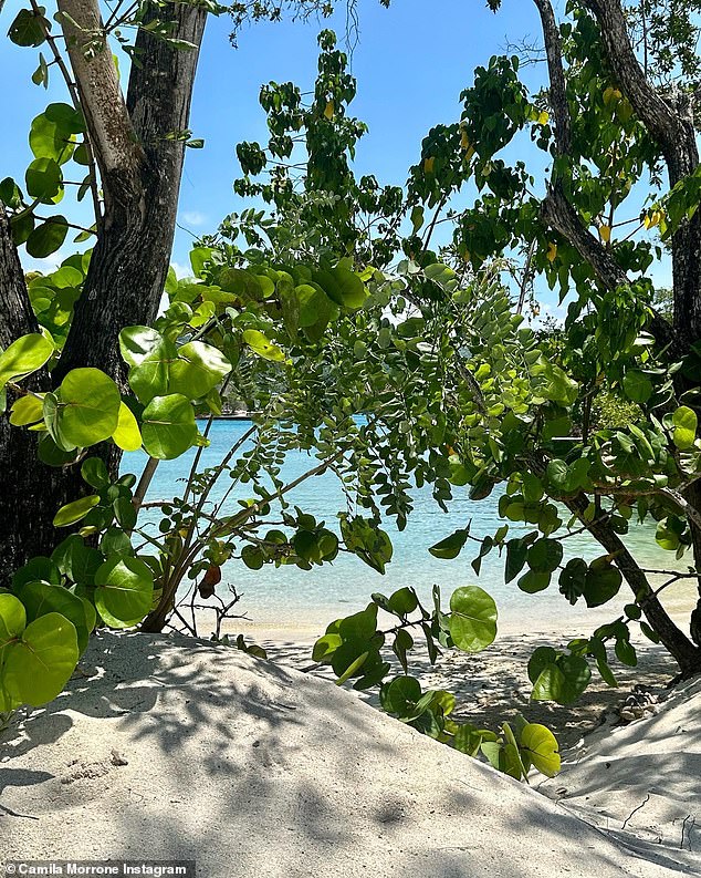 Morrone also offered a glimpse of the white sand beach dotted with lush green trees.