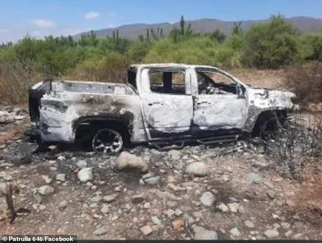 The style of the executions has raised fears locally about the possible involvement of drug cartels that are rife in the region (pictured: the trio's vehicle was later found burned in the Santo Tomás area).