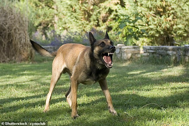 The woman had a defiant response to the note: 'I'm not going to silence my guard dog, get over it'