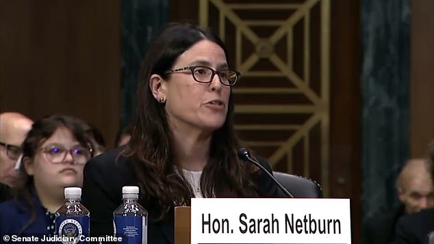 Judicial candidate Sarah Netburn previously approved the transfer of a biologically male child rapist to a women's prison.