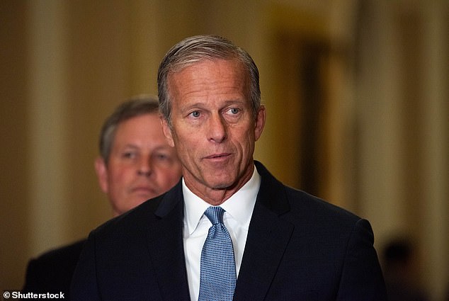 Sen. John Thune announced Monday that he is seeking to become the Senate's next Republican leader after leader Mitch McConnell announced he would not seek re-election.