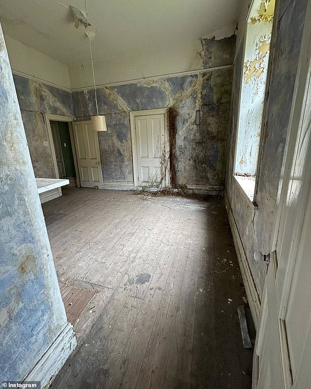 Bec's tour of the ground floor highlighted a gaping hole in the ceiling, which has caused water damage, and showed off a number of plants that have grown through the walls of the mansion.